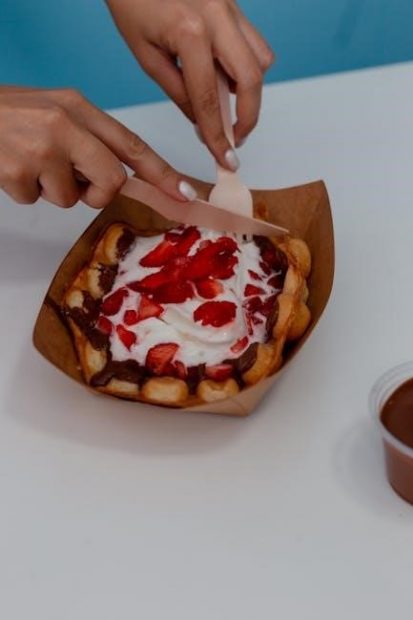 bella rotating waffle maker instructions