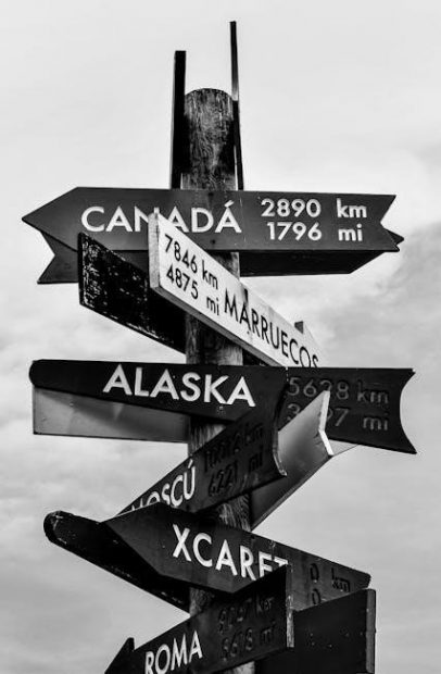 accu-chek guide test strips canada
