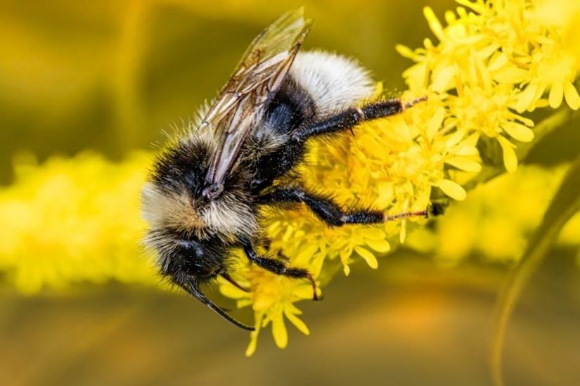 rental agreement format in tamil pdf free download